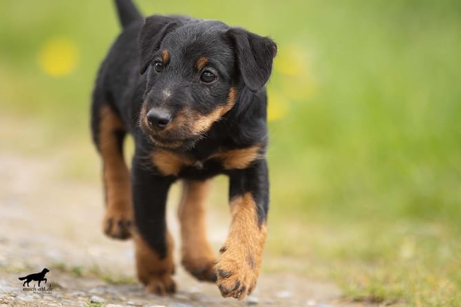 174e1ed0-c9a2-4053-b41a-f36a2bf80a2f-3