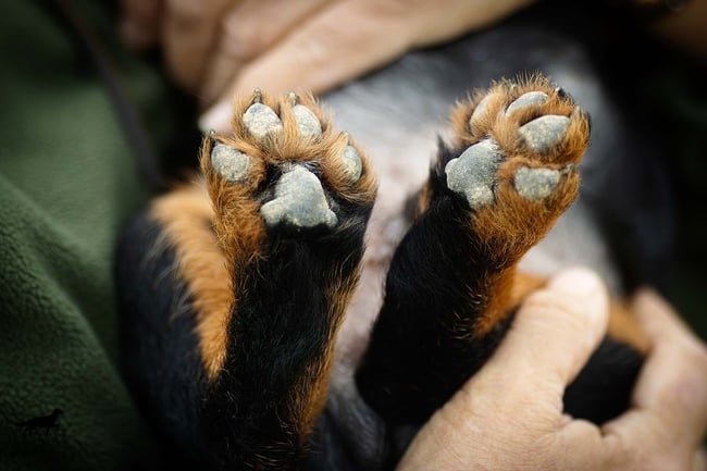 b89799fe-f15d-4ec2-8ebb-ef5c40d30f8c