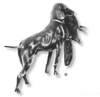 Logo Jagdgebrauchshundeverband e.V.