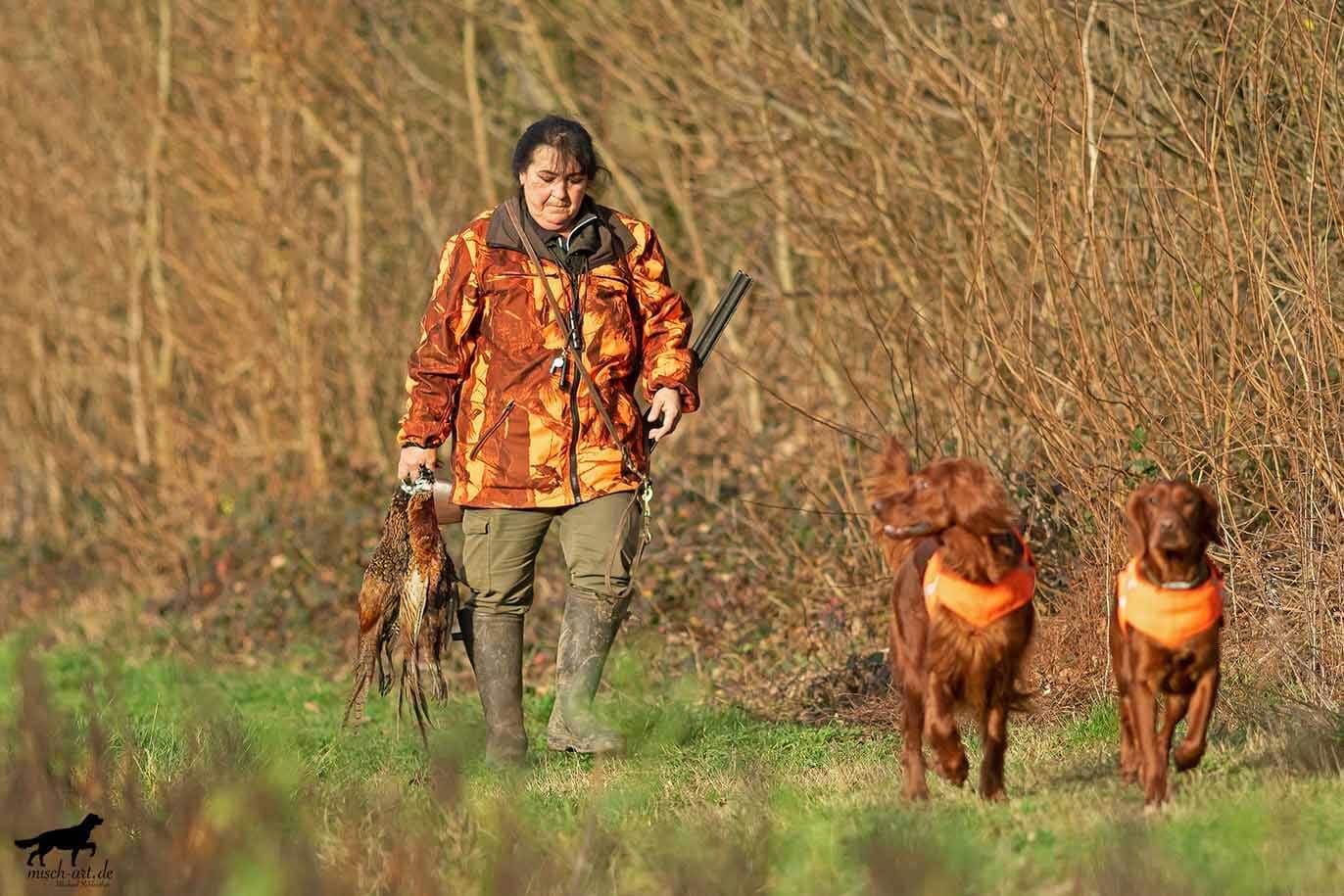 Monika Wenzl bei der Jagd mit 2 Fasanen in der Hand - ihre 2 Setter im laufen im Vordergrund